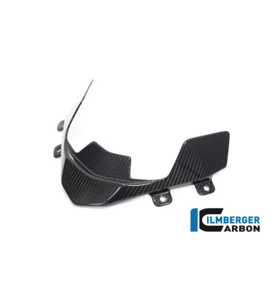 Déflecteur de cockpit carbone pour BMW S & M 1000 XR | Ilmberger Carbon
