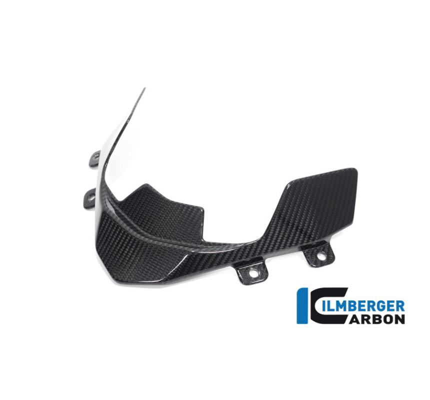Déflecteur de cockpit carbone pour BMW S & M 1000 XR | Ilmberger Carbon