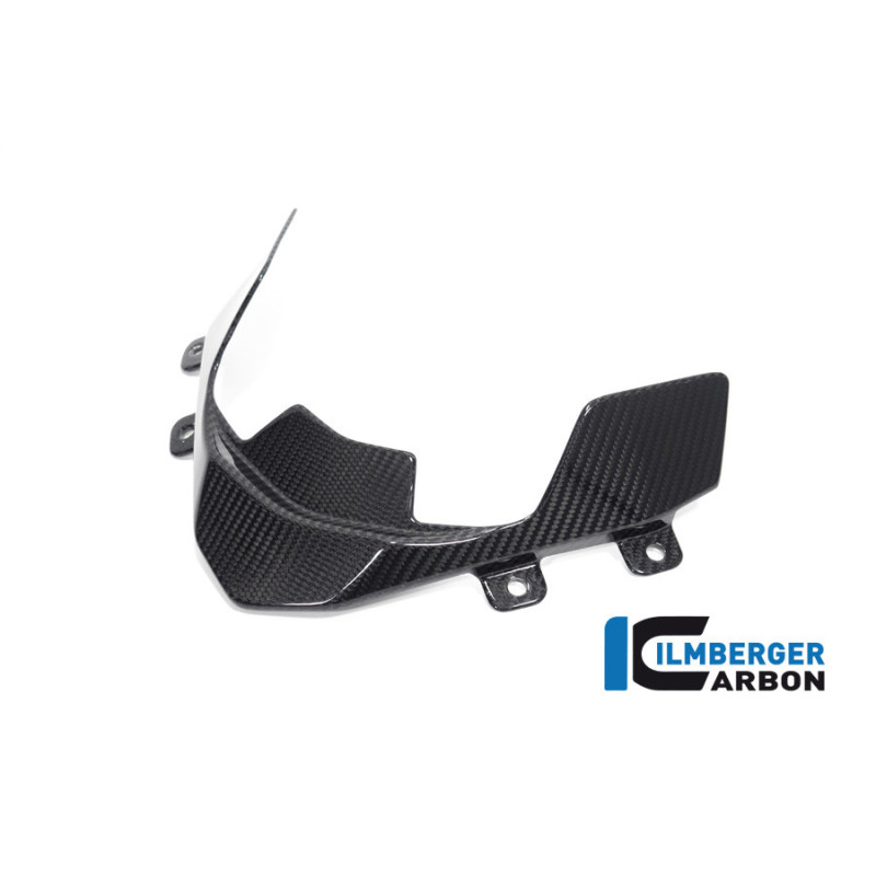 Déflecteur de cockpit carbone pour BMW S & M 1000 XR | Ilmberger Carbon