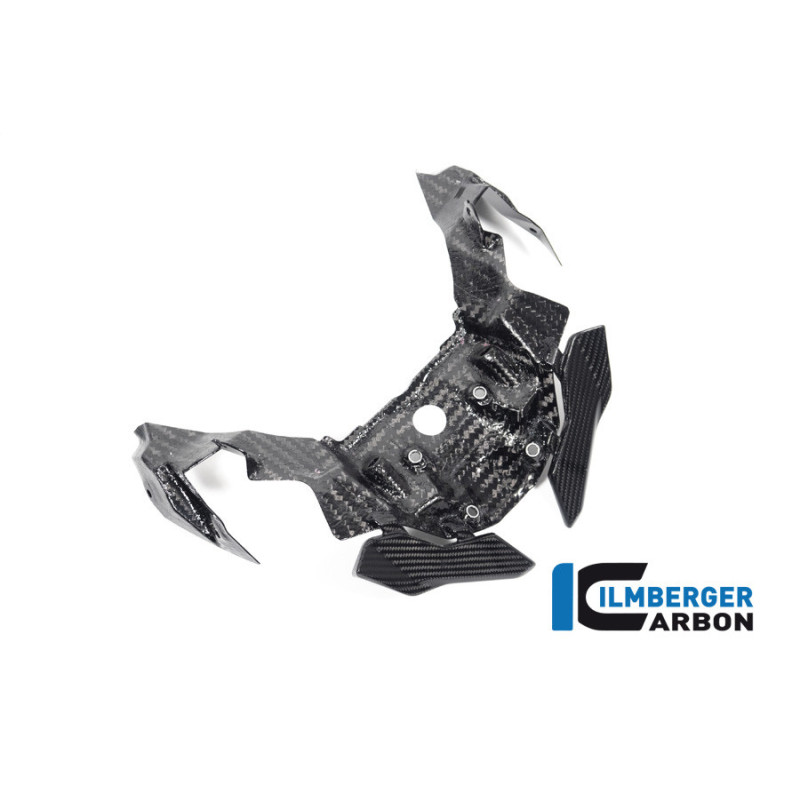 Extension de bec carbone pour BMW S 1000 XR | Ilmberger Carbon