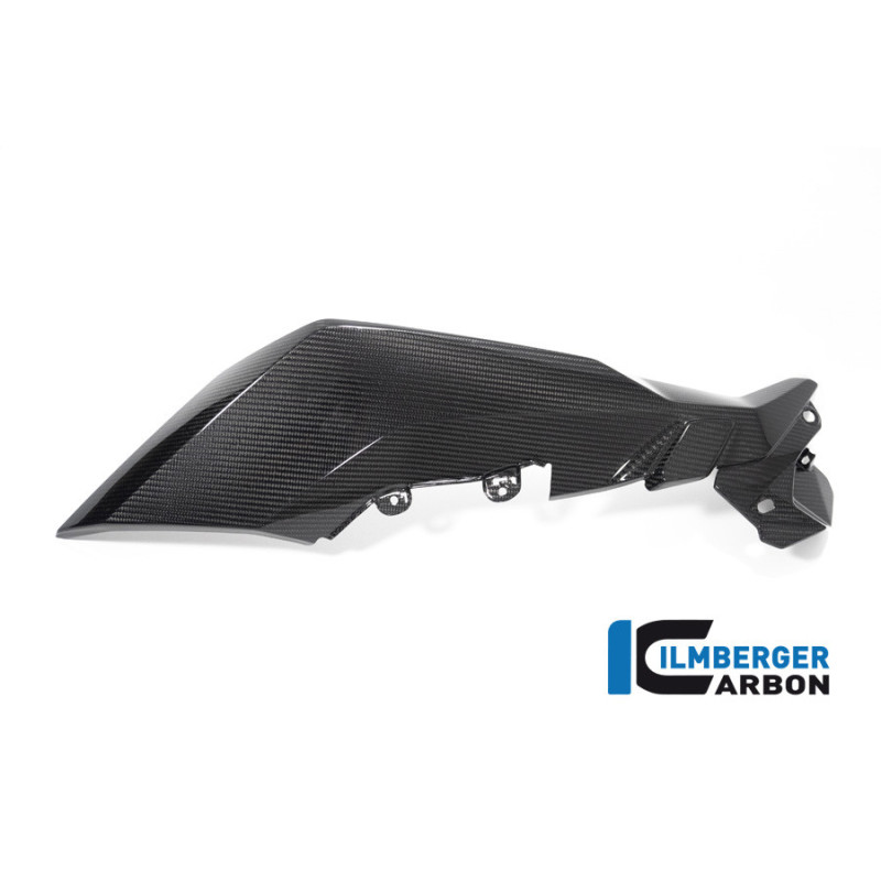 Flanc de carénage gauche carbone pour BMW S & M 1000 XR | Ilmberger Carbon