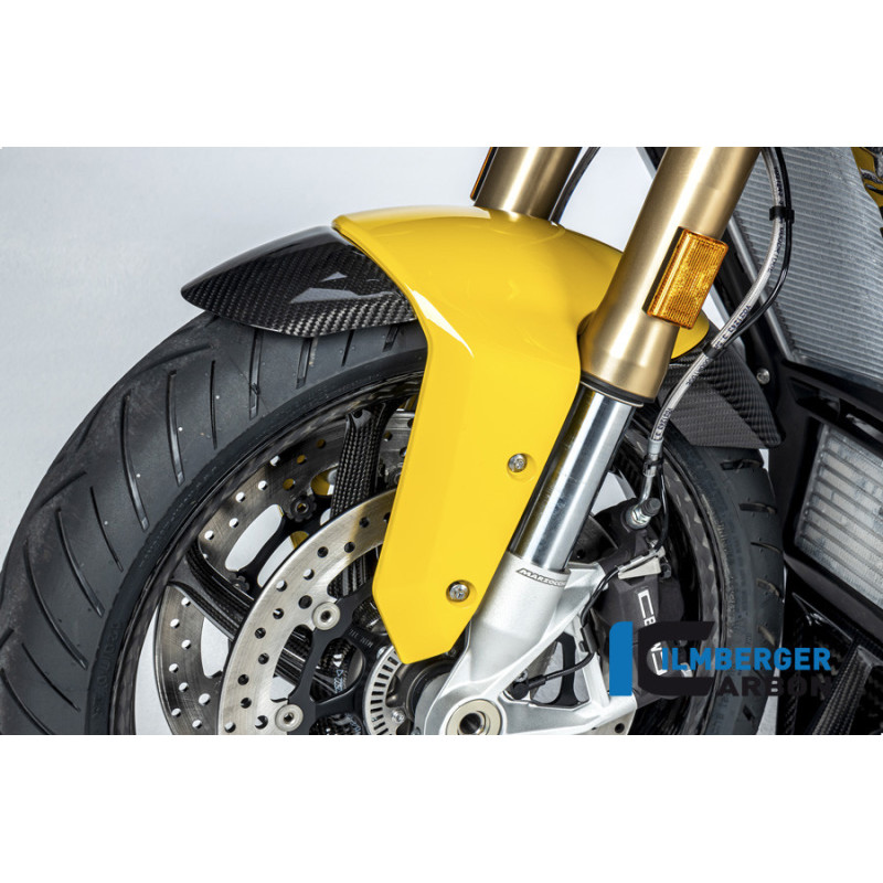 Habillage de garde-boue avant carbone pour BMW S & M 1000 XR | Ilmberger Carbon
