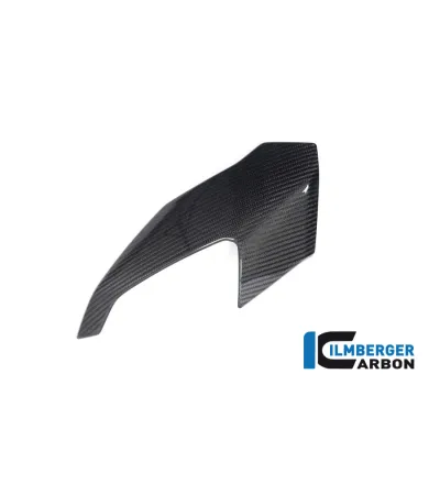 Partie supérieure de carénage gauche carbone pour BMW S & M 1000 XR | Ilmberger Carbon