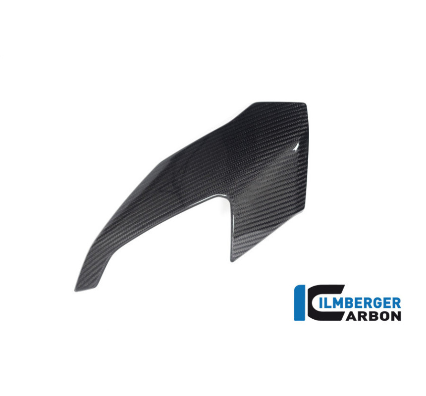 Partie supérieure de carénage gauche carbone pour BMW S & M 1000 XR | Ilmberger Carbon