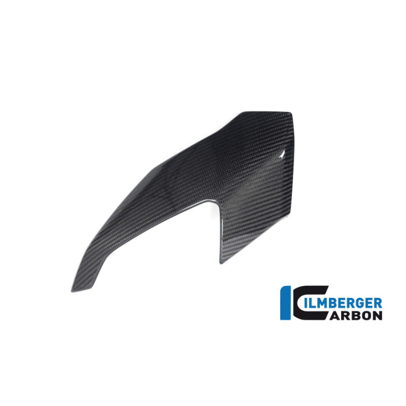 Partie supérieure de carénage gauche carbone pour BMW S & M 1000 XR | Ilmberger Carbon