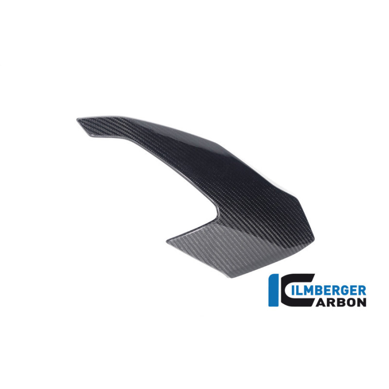 Partie supérieure de carénage gauche pour S & M 1000 XR