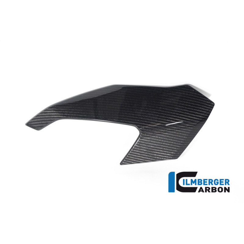 Partie supérieure de carénage gauche carbone pour BMW S & M 1000 XR | Ilmberger Carbon