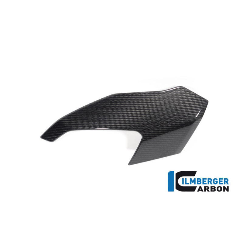 Partie supérieure de carénage gauche carbone pour BMW S & M 1000 XR | Ilmberger Carbon