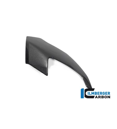 Partie supérieure de carénage droite carbone pour BMW S & M 1000 XR | Ilmberger Carbon