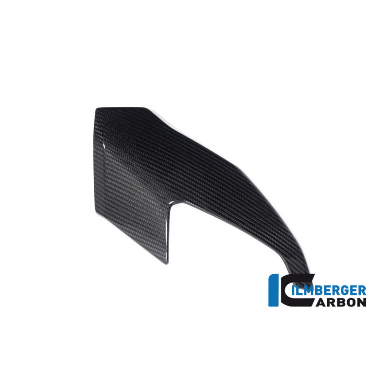Partie supérieure de carénage droite carbone pour BMW S & M 1000 XR | Ilmberger Carbon