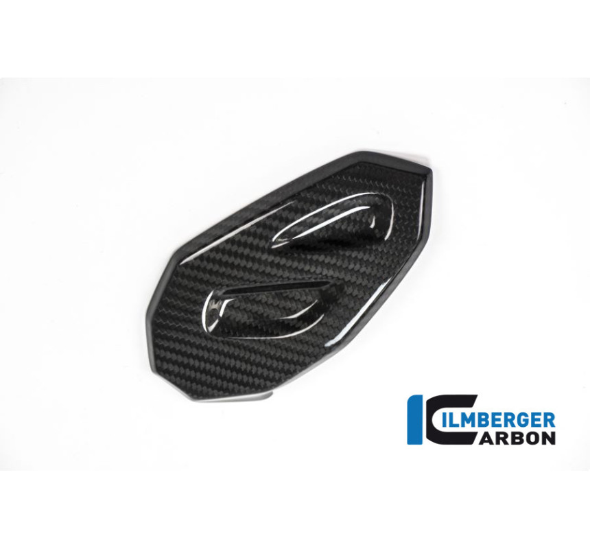 Protège-talon gauche carbone pour BMW S 1000 XR | Ilmberger Carbon