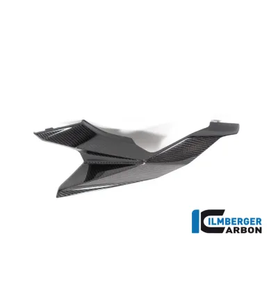 Coque arrière gauche carbone pour BMW S & M 1000 XR | Ilmberger Carbon