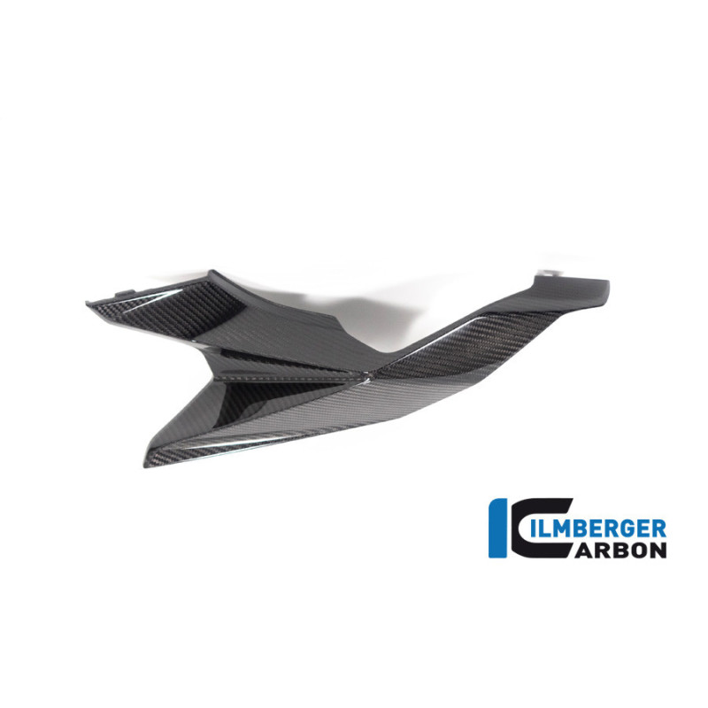 Coque arrière gauche carbone pour BMW S & M 1000 XR | Ilmberger Carbon