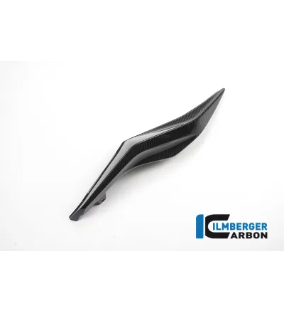 Coque arrière droite carbone pour BMW S 1000 XR | Ilmberger Carbon