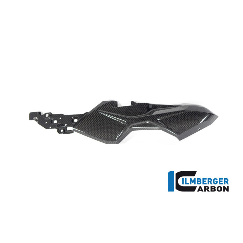 Habillage de boucle arrière gauche carbone pour BMW M 1000 XR | Ilmberger Carbon