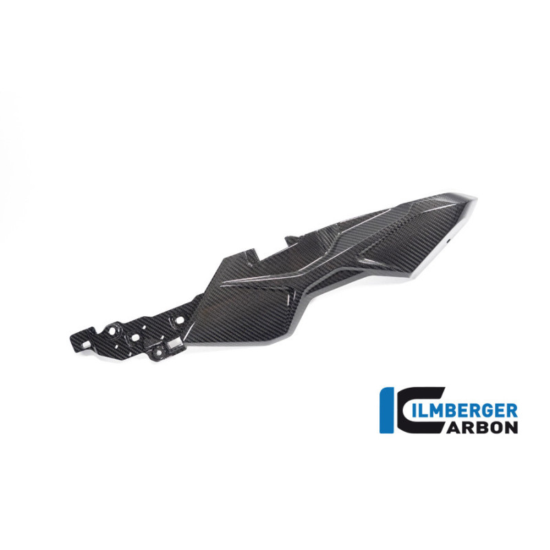 Habillage de boucle arrière gauche carbone pour BMW M 1000 XR | Ilmberger Carbon