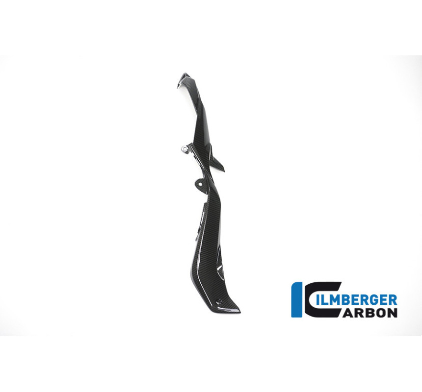 Habillage de boucle arrière gauche carbone pour BMW S 1000 XR | Ilmberger Carbon