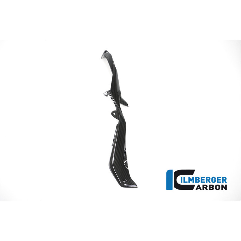 Habillage de boucle arrière gauche carbone pour BMW S 1000 XR | Ilmberger Carbon