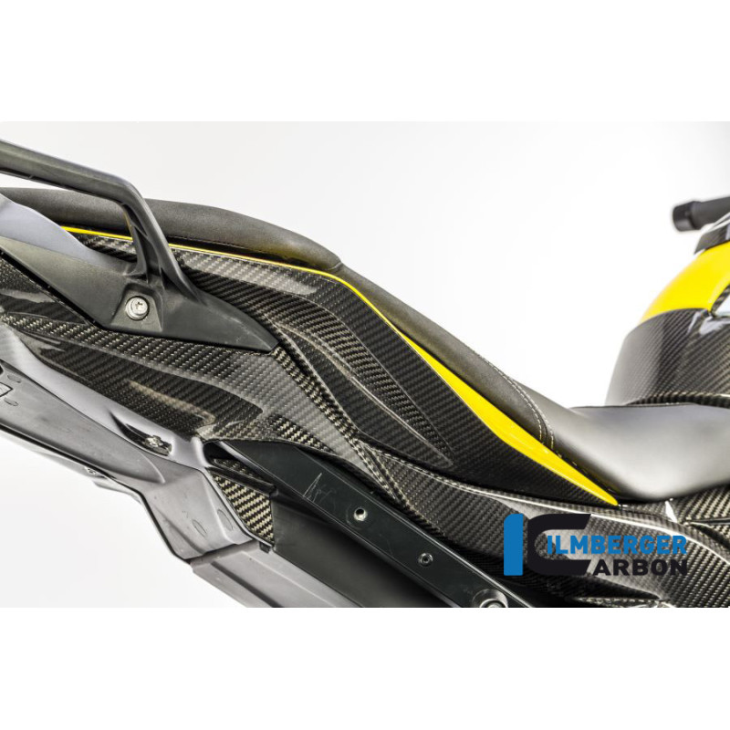 Habillage de boucle arrière droit carbone pour BMW S 1000 XR | Ilmberger Carbon