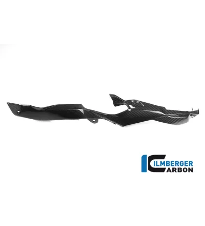 Habillage de boucle arrière droit carbone pour BMW S 1000 XR | Ilmberger Carbon
