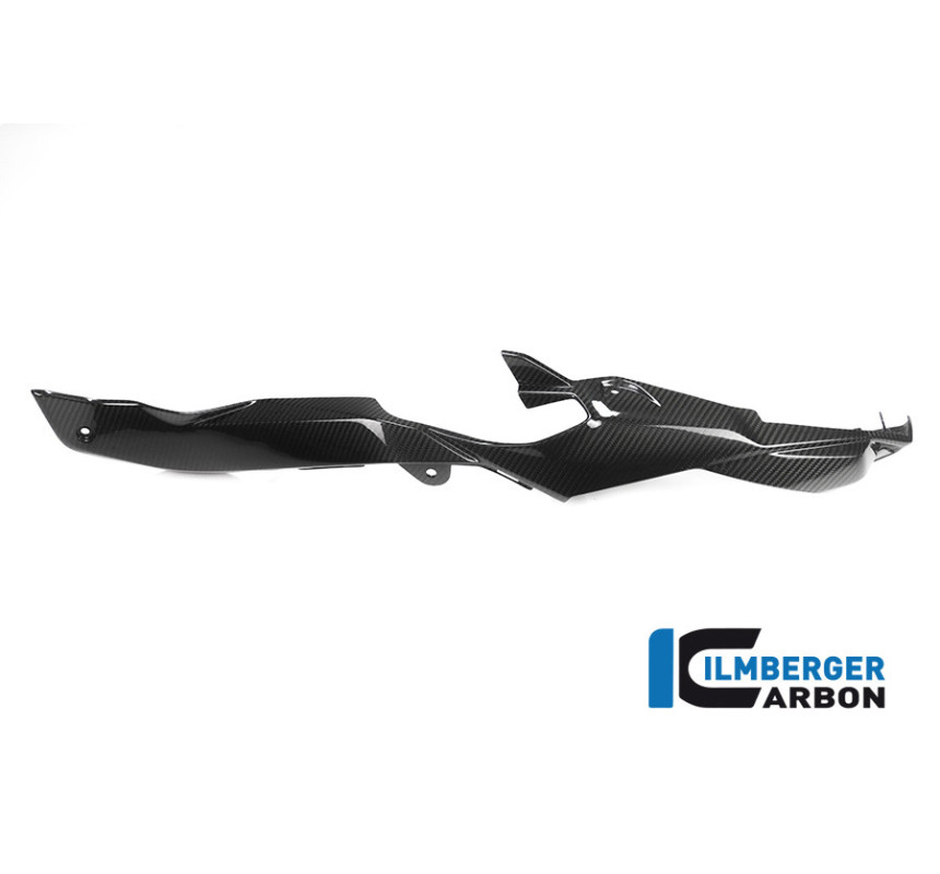 Habillage de boucle arrière droit carbone pour BMW S 1000 XR | Ilmberger Carbon