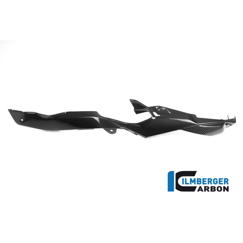 Habillage de boucle arrière droit carbone pour BMW S 1000 XR | Ilmberger Carbon