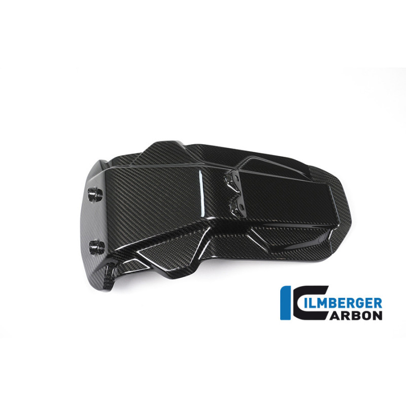 Platine de support de plaque carbone pour BMW S 1000 XR | Ilmberger Carbon