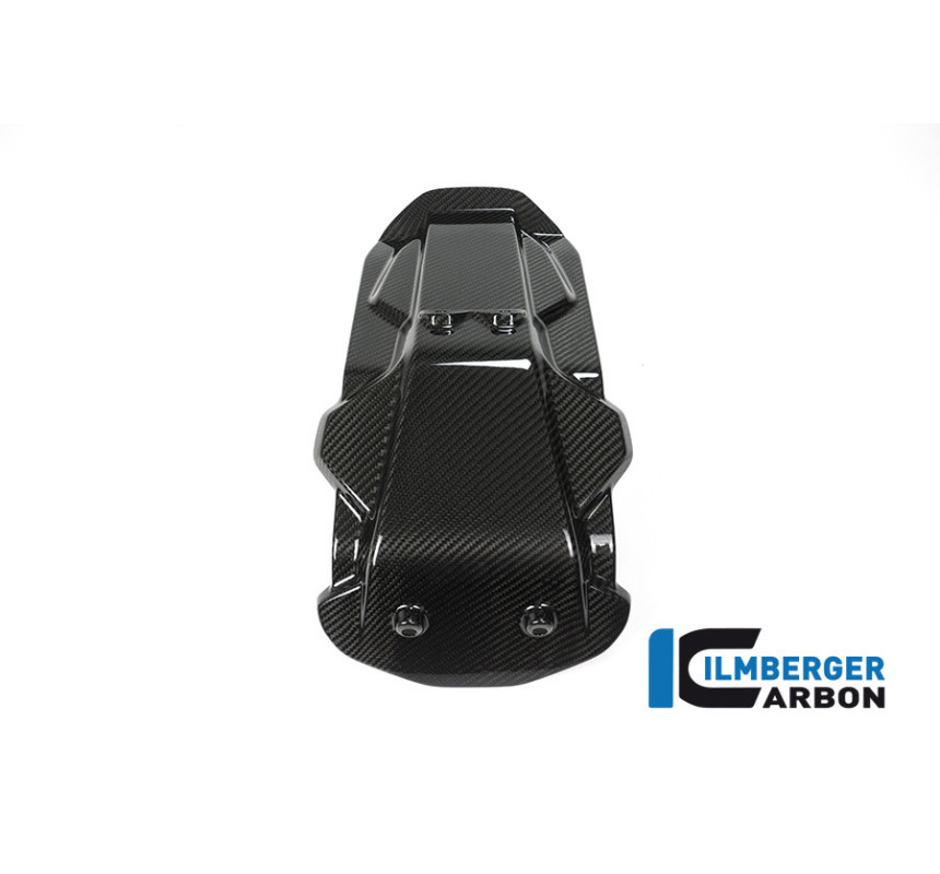 Platine de support de plaque carbone pour BMW S 1000 XR | Ilmberger Carbon