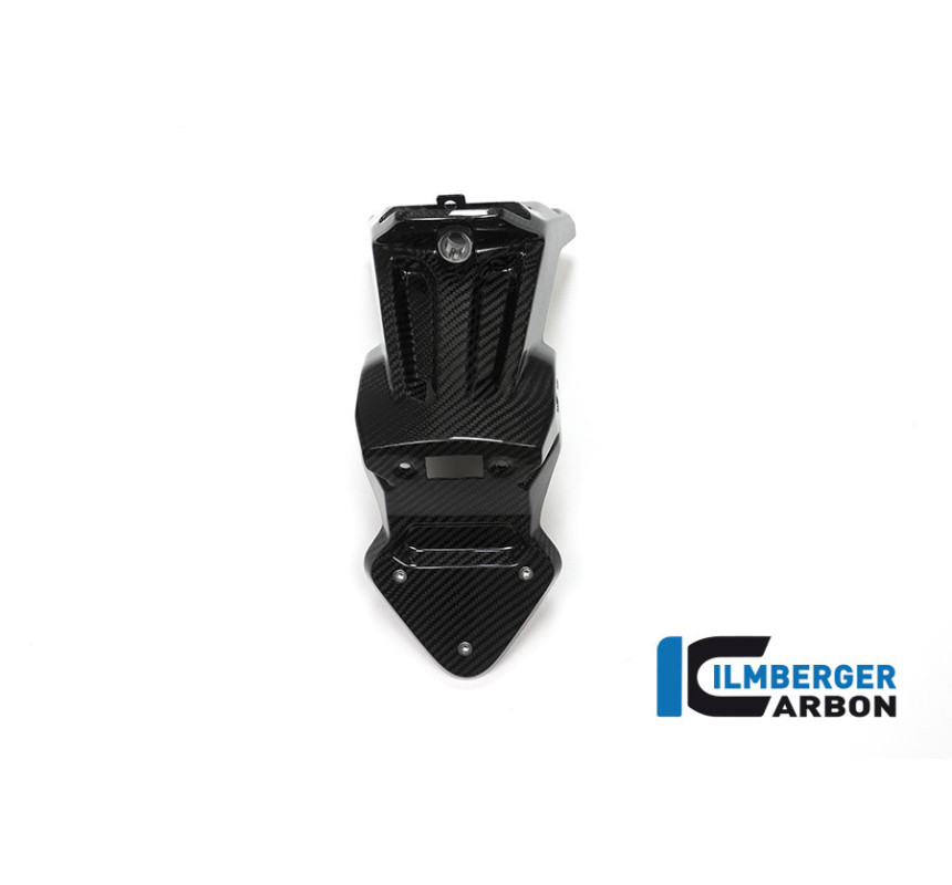 Support de plaque carbone pour BMW S 1000 XR | Ilmberger Carbon