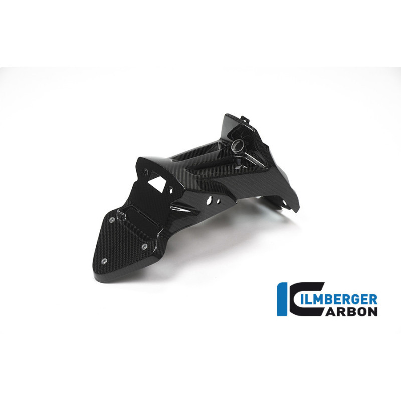 Support de plaque carbone pour BMW S 1000 XR | Ilmberger Carbon