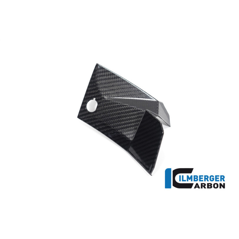Cache de cockpit gauche carbone pour BMW S & M 1000 XR | Ilmberger Carbon