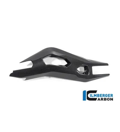 Cache de bras oscillant gauche carbone pour BMW S & M 1000 XR | Ilmberger Carbon