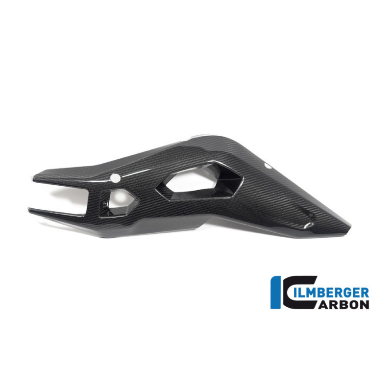 Cache de bras oscillant droit carbone pour BMW S & M 1000 XR | Ilmberger Carbon
