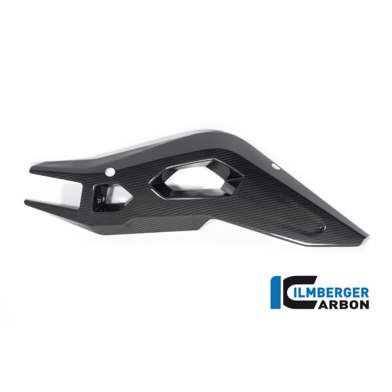 Cache de bras oscillant droit carbone pour BMW S & M 1000 XR | Ilmberger Carbon