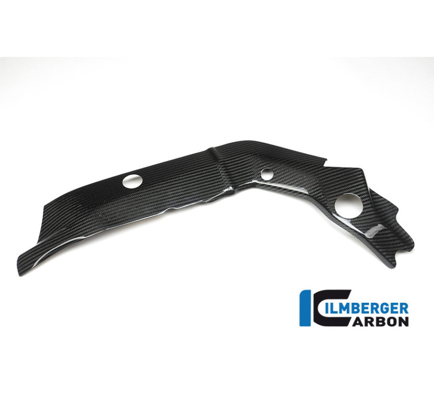 Cache de cadre gauche carbone pour BMW S 1000 XR | Ilmberger Carbon