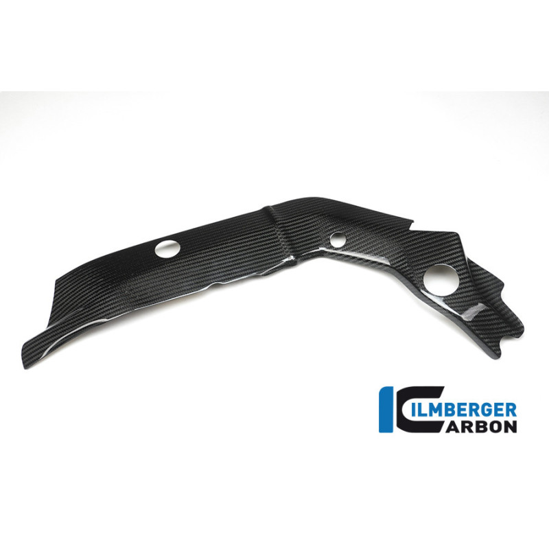 Cache de cadre gauche carbone pour BMW S 1000 XR | Ilmberger Carbon