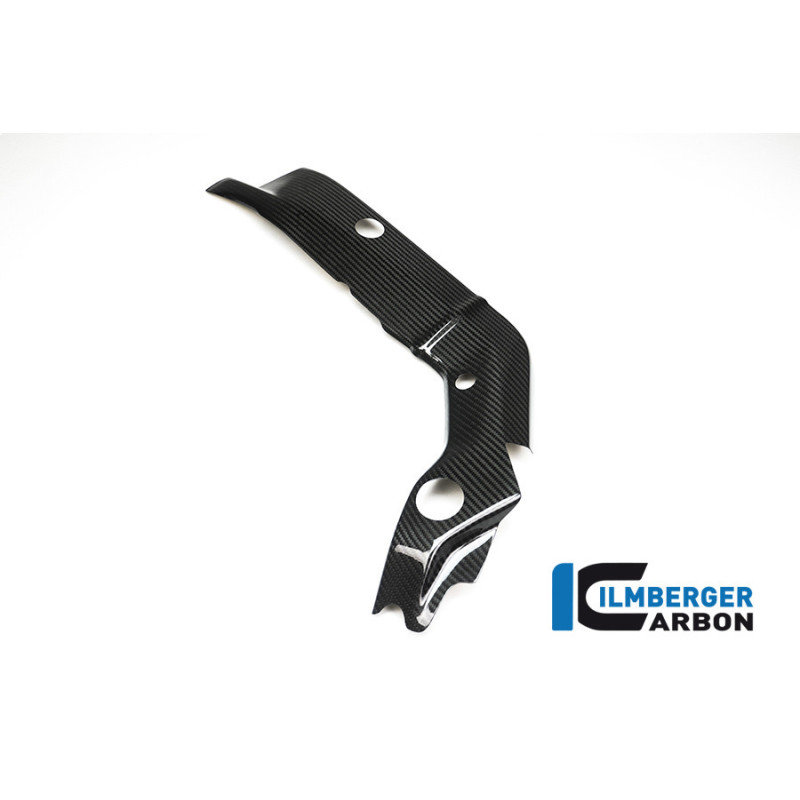 Cache de cadre gauche carbone pour BMW S 1000 XR | Ilmberger Carbon