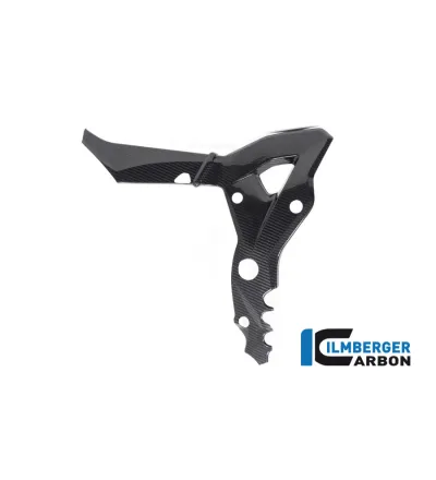 Cache de cadre gauche carbone pour BMW S & M 1000 XR | Ilmberger Carbon