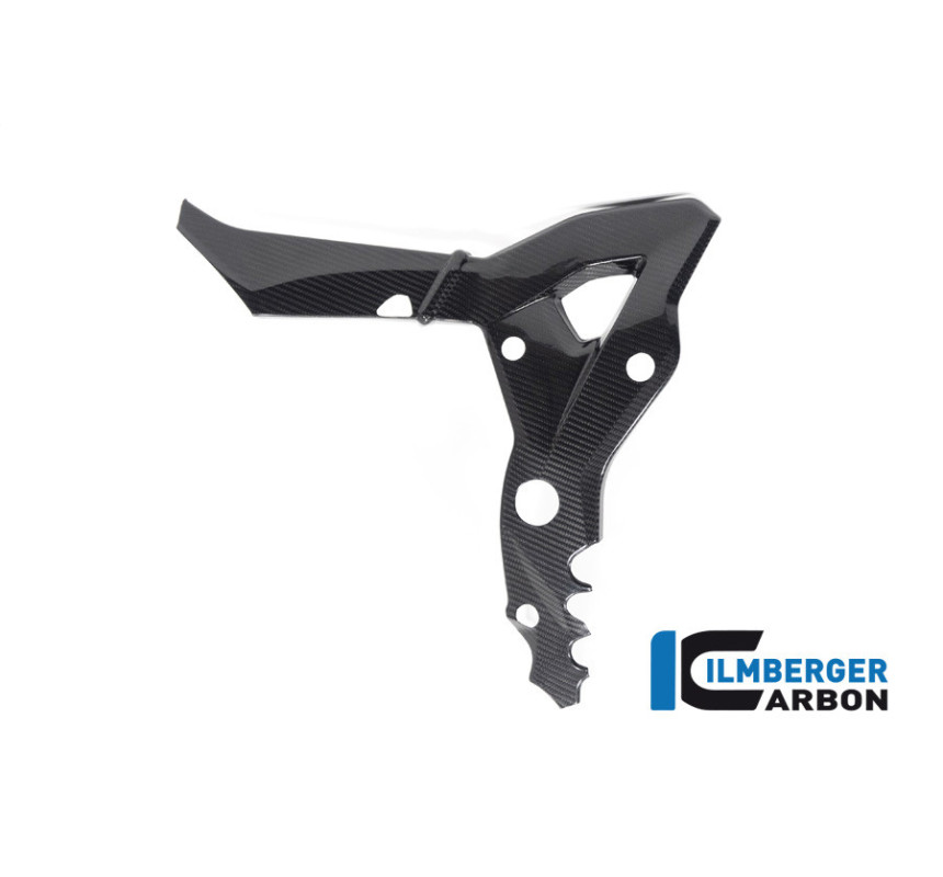 Cache de cadre gauche carbone pour BMW S & M 1000 XR | Ilmberger Carbon
