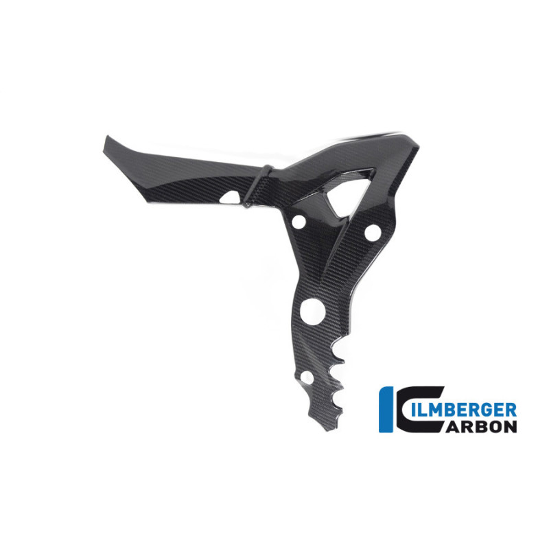 Cache de cadre gauche carbone pour BMW S & M 1000 XR | Ilmberger Carbon