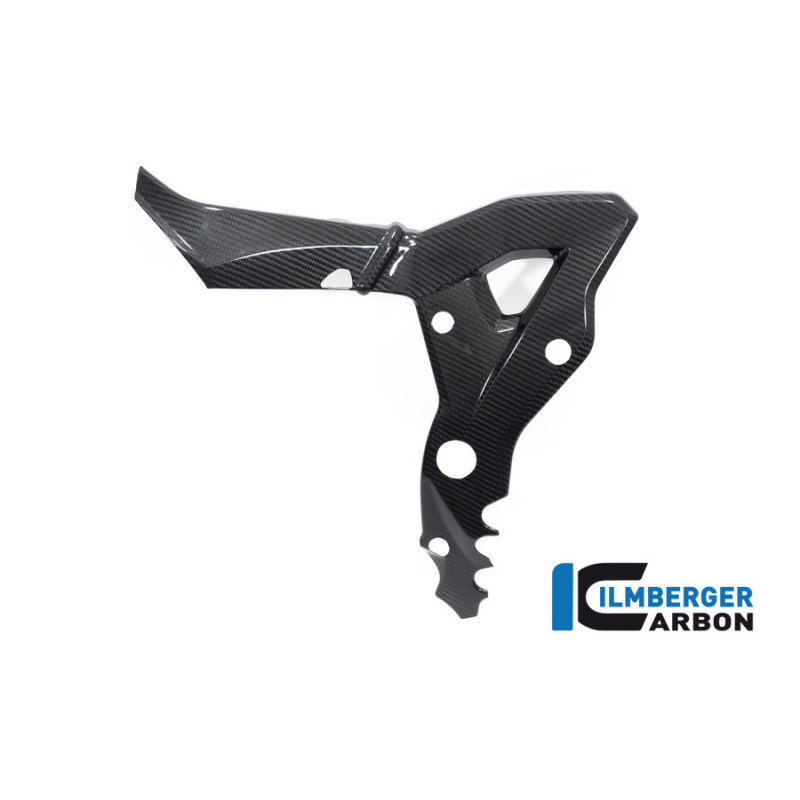 Cache de cadre gauche carbone pour BMW S & M 1000 XR | Ilmberger Carbon