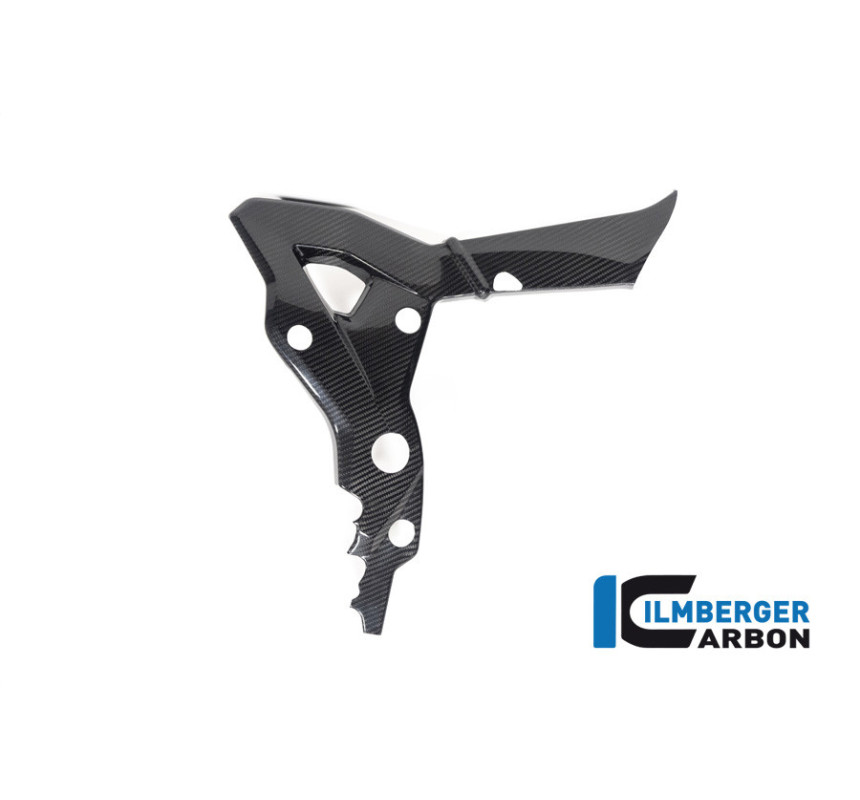 Cache de cadre droit carbone pour BMW S & M 1000 XR | Ilmberger Carbon