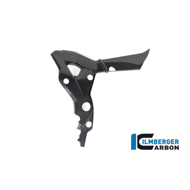 Cache de cadre droit carbone pour BMW S & M 1000 XR | Ilmberger Carbon