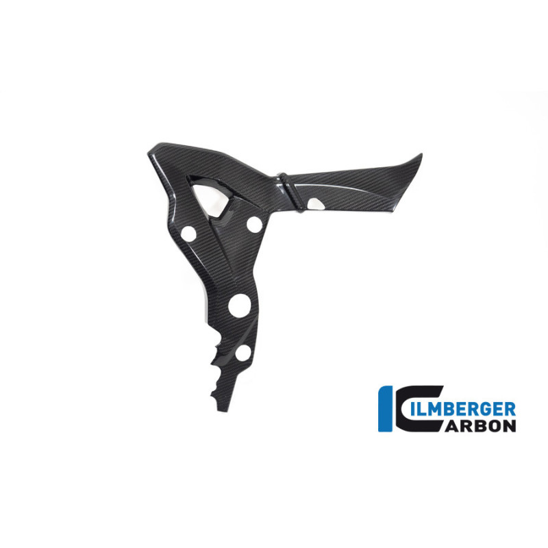 Cache de cadre droit carbone pour BMW S & M 1000 XR | Ilmberger Carbon