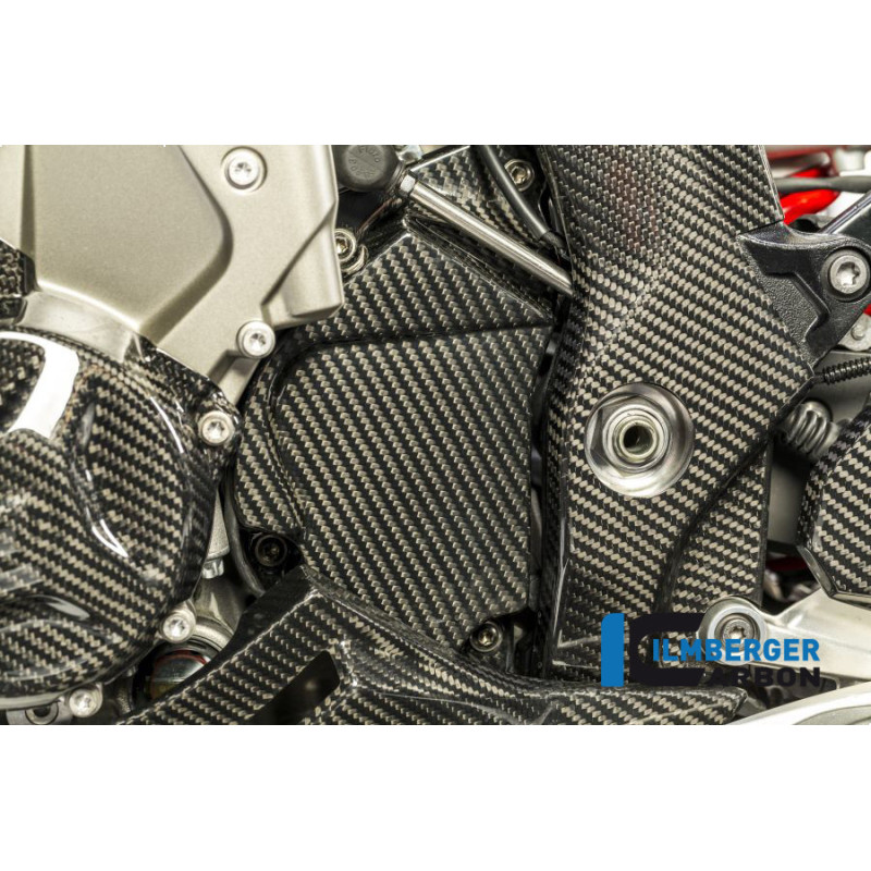 Cache de pignon carbone pour BMW S 1000 XR | Ilmberger Carbon
