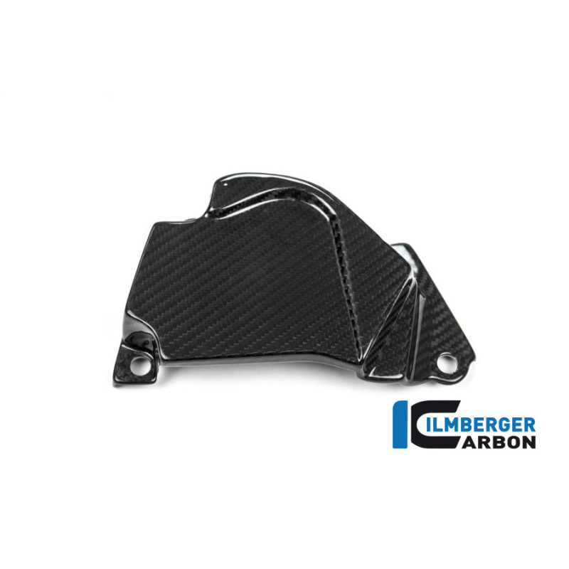 Cache de pignon carbone pour BMW S 1000 XR | Ilmberger Carbon