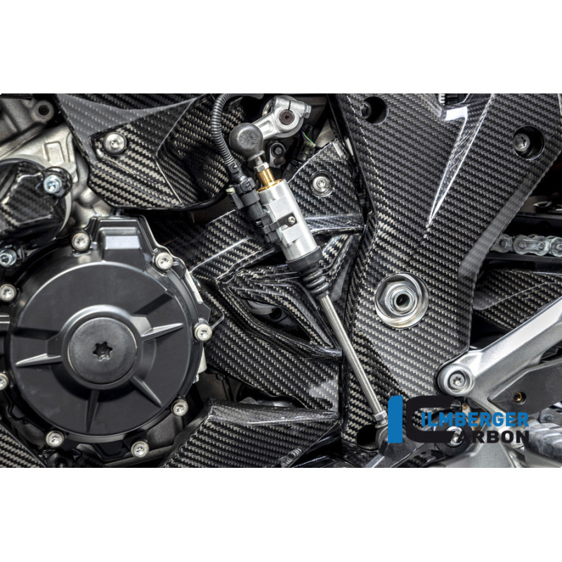 Cache de pignon carbone pour BMW S & M 1000 XR | Ilmberger Carbon