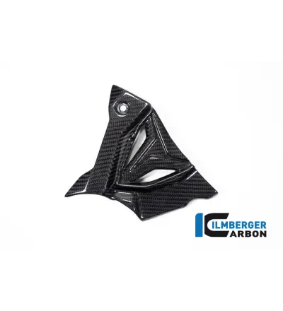 Cache de pignon carbone pour BMW S & M 1000 XR | Ilmberger Carbon