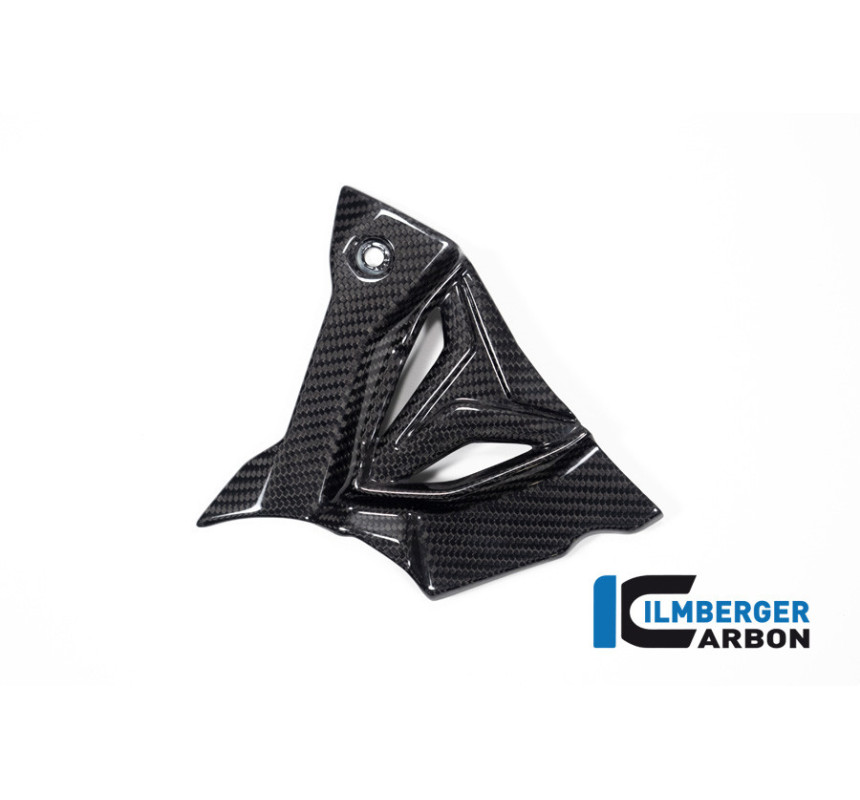 Cache de pignon carbone pour BMW S & M 1000 XR | Ilmberger Carbon
