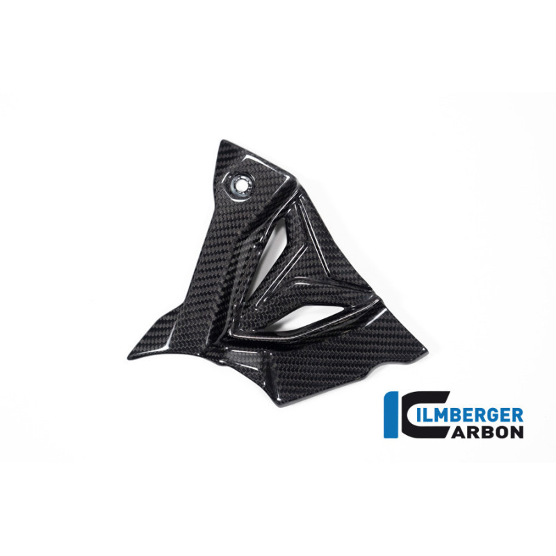 Cache de pignon carbone pour BMW S & M 1000 XR | Ilmberger Carbon